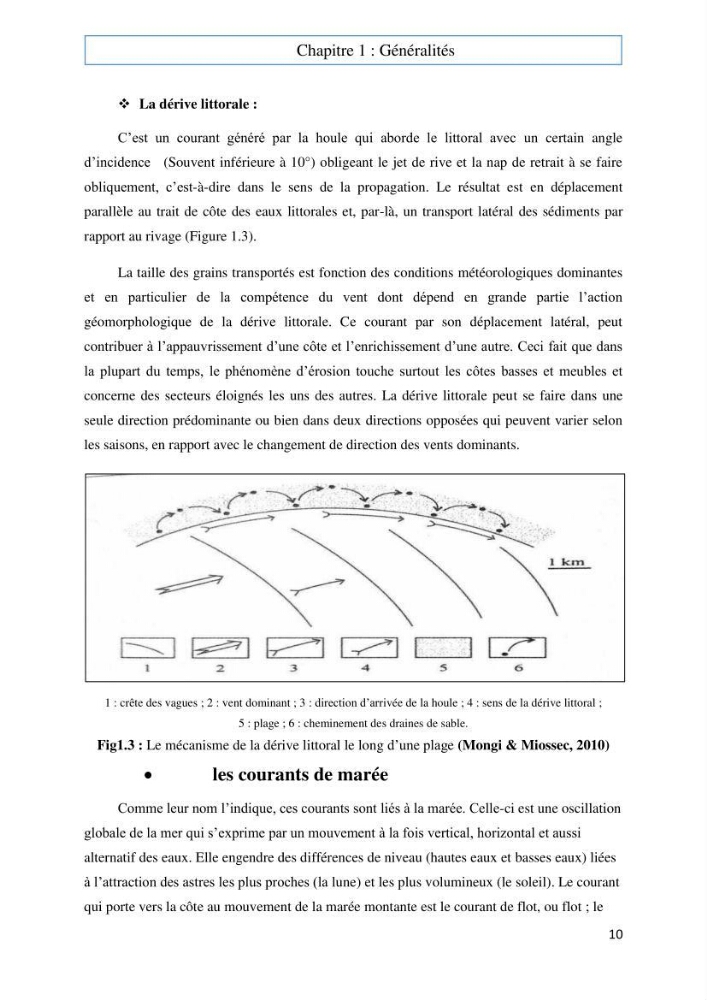 Evaluation du risque d\'érosion de la plage Est de Sidi Fredj (Alger)