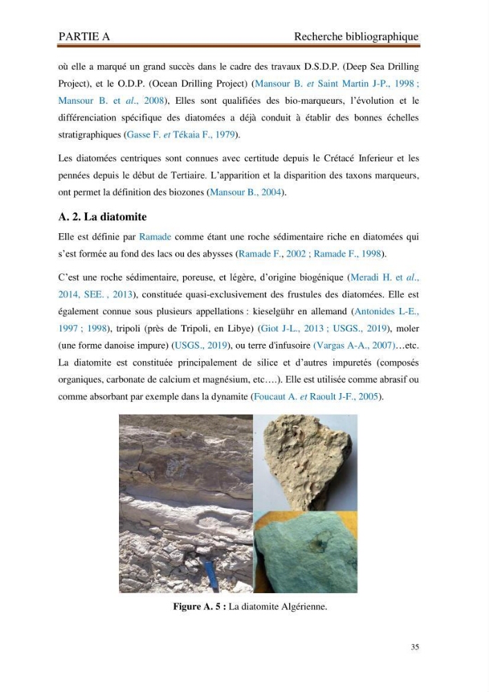 Identification, caractérisation et applications des diatomées fossiles de la région de Mostaganem