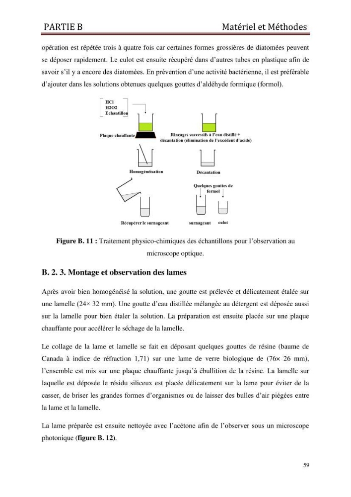 Identification, caractérisation et applications des diatomées fossiles de la région de Mostaganem