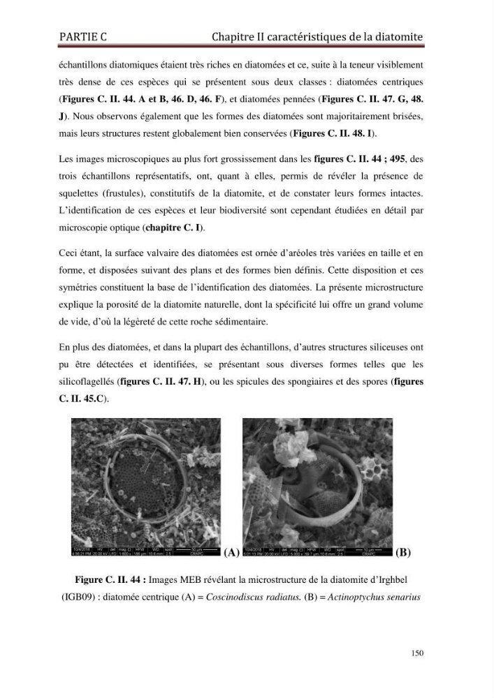Identification, caractérisation et applications des diatomées fossiles de la région de Mostaganem