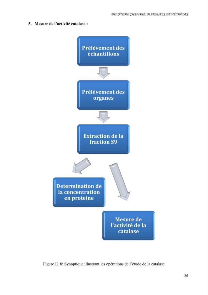 Mise au point d\'une technique de dosage de l\'activité des enzymes du stress oxydatif chez la moule Perna Perna (Linnaeus 1758 .