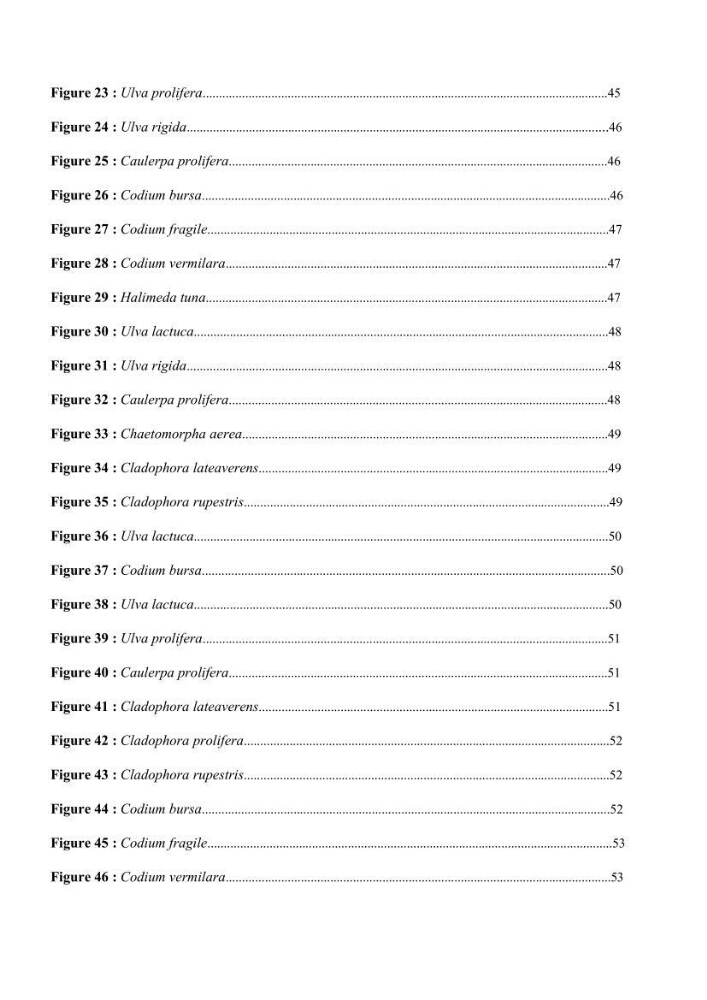 Actualisation de la taxonomie et de l\'inventaire des chlorobiontes des côtes Algériennes et mise en évidence des espèces aquacole: