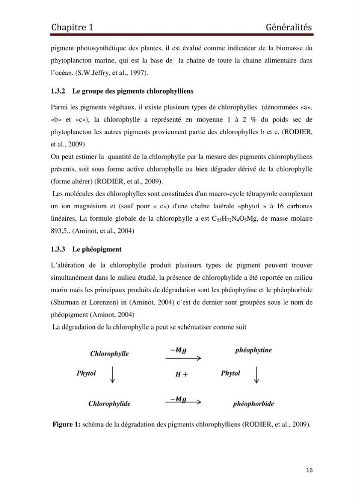 Mise en place d\'une base de données littoral intégrée dans un SIG, application à la wilaya de Boumerdès