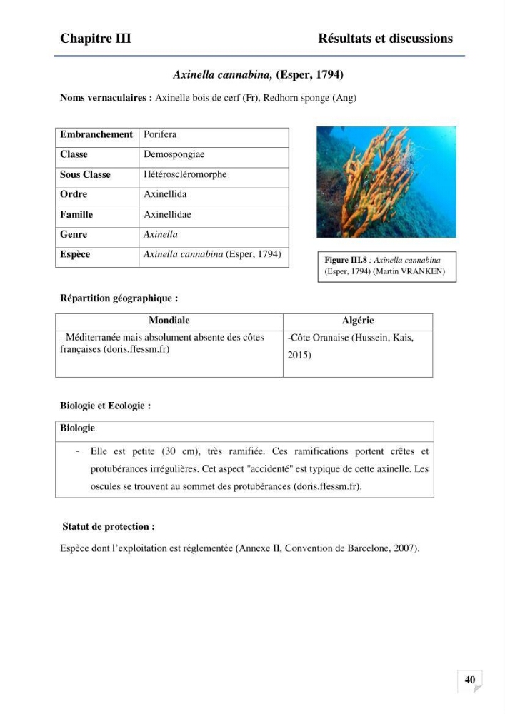 Inventaire des Spongiaires et des Bryozoaires de la côte Algérienne