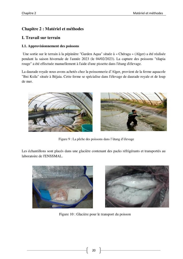 Composition minérale (cas du calcium) de deux espèces aquacoles le tilapia rouge (Oreochromis sp) et la daurade royale (sparus aurata).