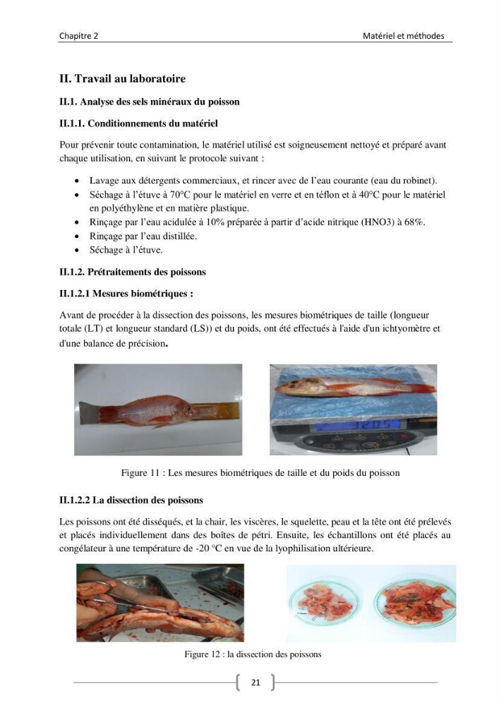 Composition minérale (cas du calcium) de deux espèces aquacoles le tilapia rouge (Oreochromis sp) et la daurade royale (sparus aurata).