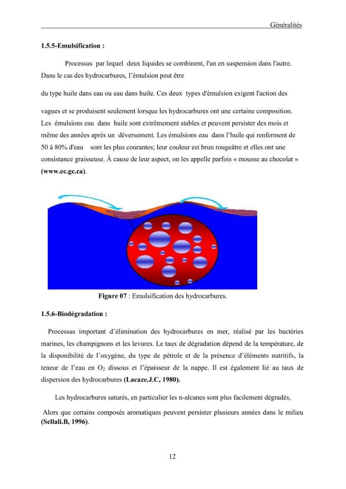 Extraction des Hydrocarbures aliphatiques dans l\'eau de mer