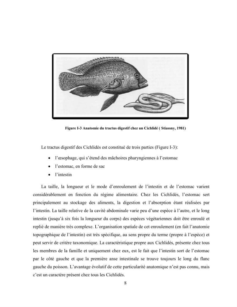 Suivi zootechnique de l’efficacité de six aliments fabriqués localement sur la croissance et la pigmentation des Cichlidés américains cas de Pterophyllum scalare. et Andinoacara rivulatus.