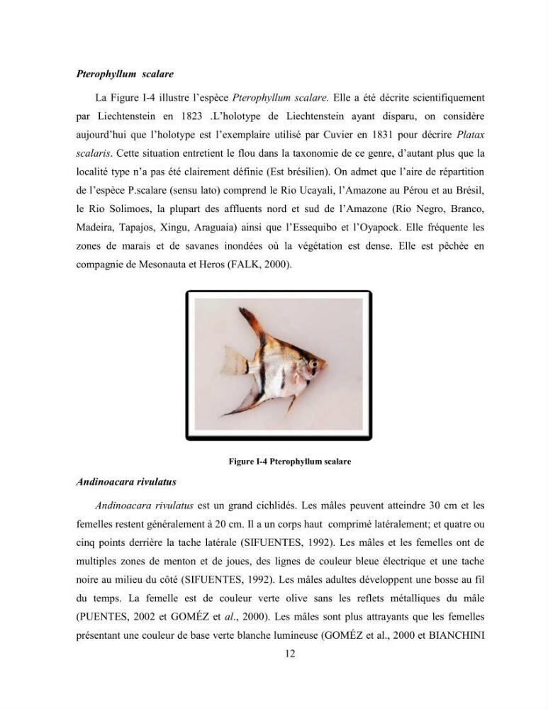 Suivi zootechnique de l’efficacité de six aliments fabriqués localement sur la croissance et la pigmentation des Cichlidés américains cas de Pterophyllum scalare. et Andinoacara rivulatus.