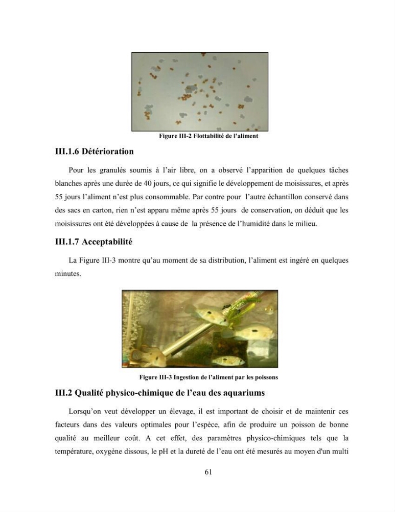 Suivi zootechnique de l’efficacité de six aliments fabriqués localement sur la croissance et la pigmentation des Cichlidés américains cas de Pterophyllum scalare. et Andinoacara rivulatus.
