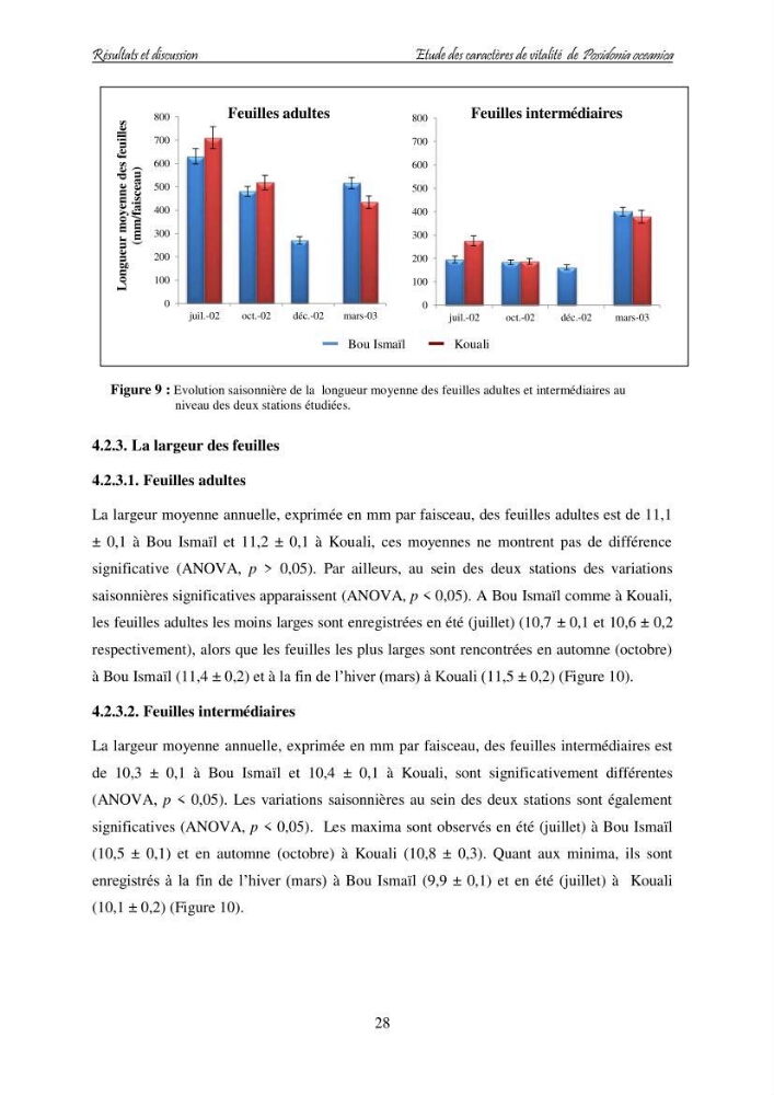 Contribution à l\'étude des variations des teneurs en composés phénoliques chez la Magnoliophyte marine Posidonia oceanica (L.) Delile