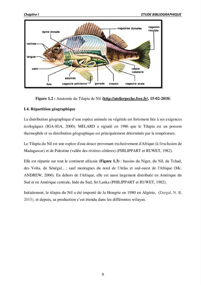 Alimentation des poissons Tilapia au stade juvénile à base d’un aliment fabriqué avec des ressources locales: