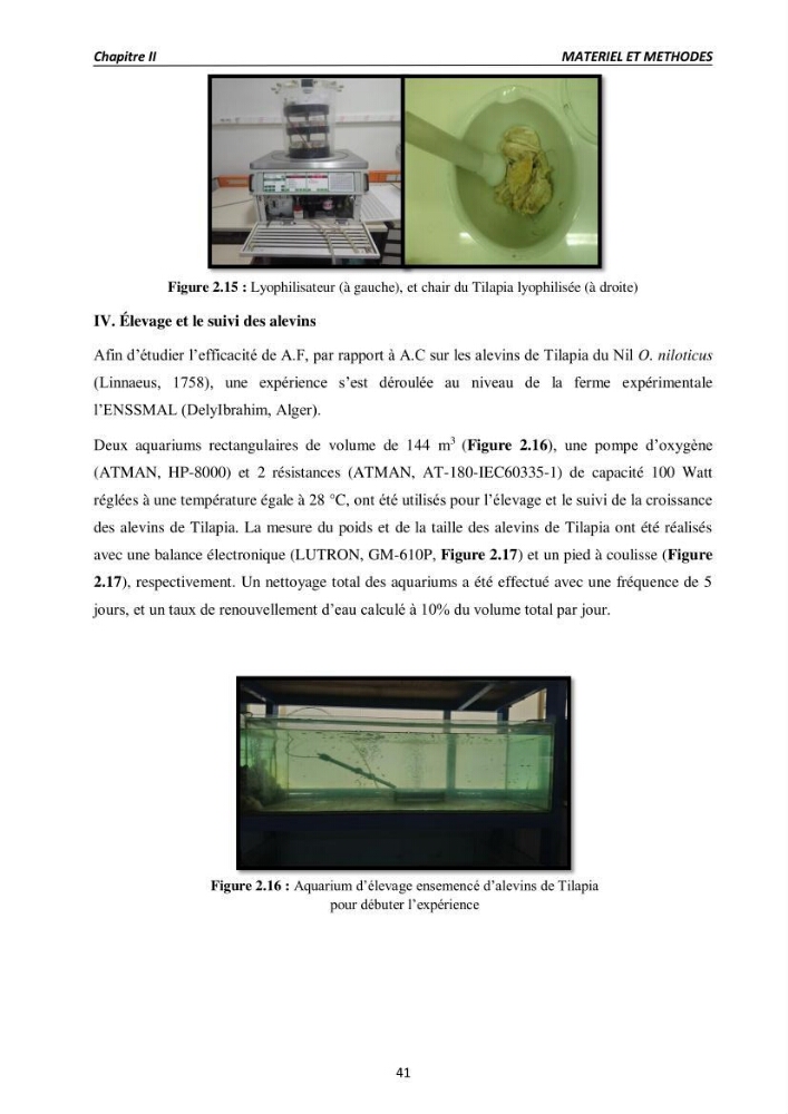 Alimentation des poissons Tilapia au stade juvénile à base d’un aliment fabriqué avec des ressources locales: