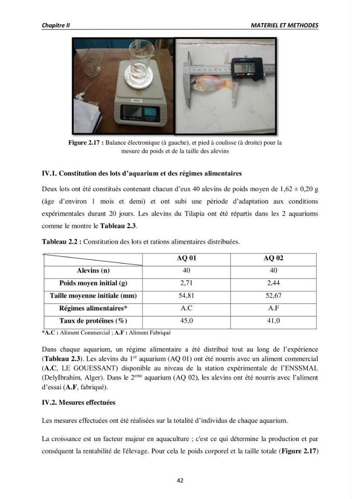 Alimentation des poissons Tilapia au stade juvénile à base d’un aliment fabriqué avec des ressources locales: