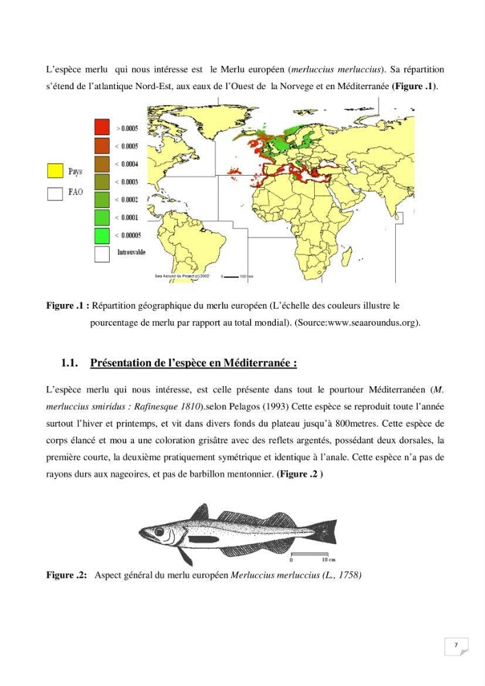 Présentation de la pêcherie du Merlu à Jijel et Bejaia et contribution à l\'étude de la croissance journalière des juveniles de merlu dans la baie de Jijel