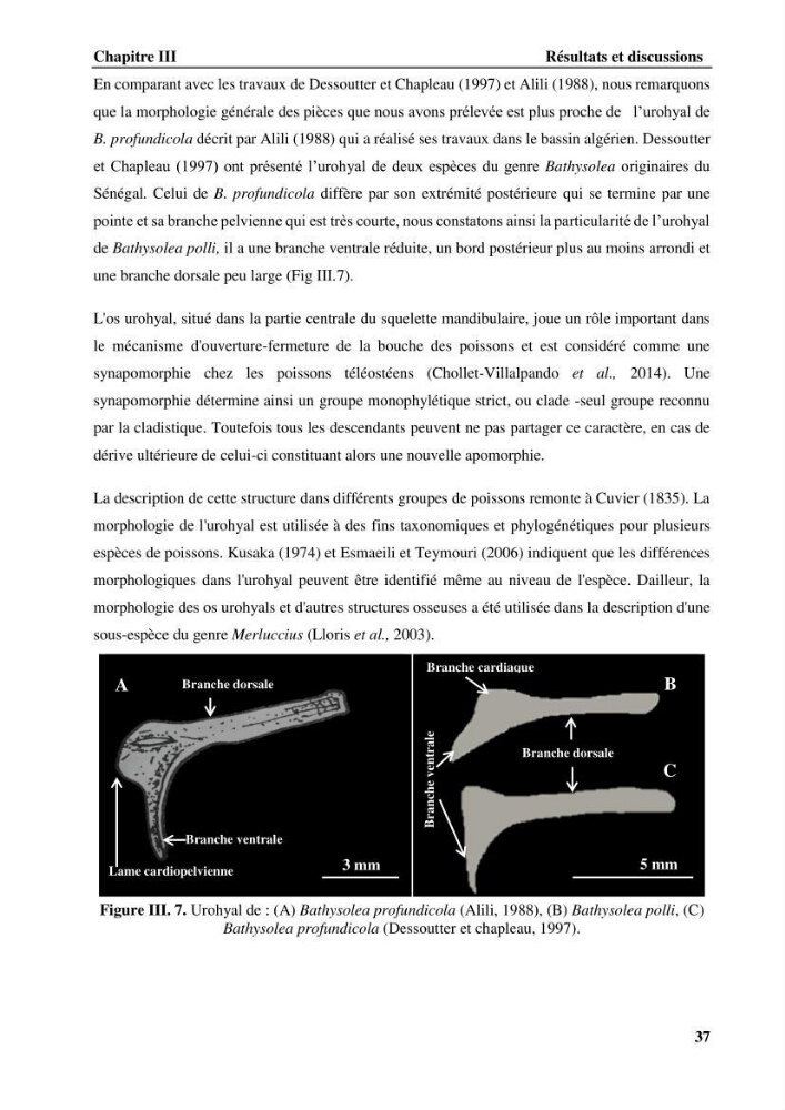 Contribution à l\'étude systématique du genre Bathysolea Roule,1916 (Pleuronnectiformes, Soleidae) des côtes Algeriennes: études morphométriques et ostéologique