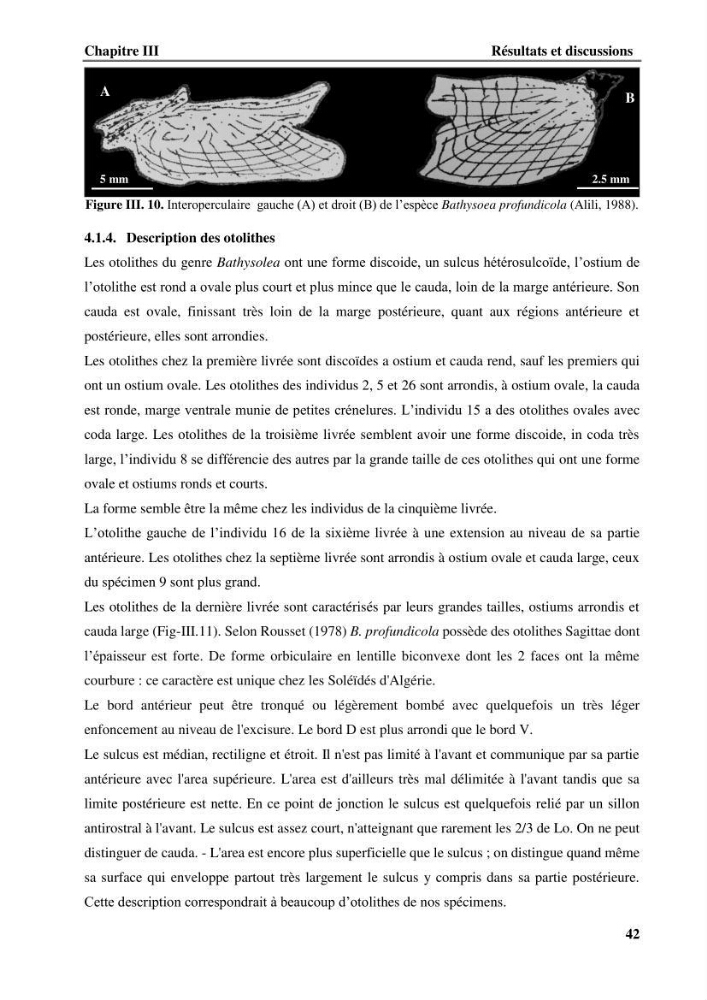 Contribution à l\'étude systématique du genre Bathysolea Roule,1916 (Pleuronnectiformes, Soleidae) des côtes Algeriennes: études morphométriques et ostéologique