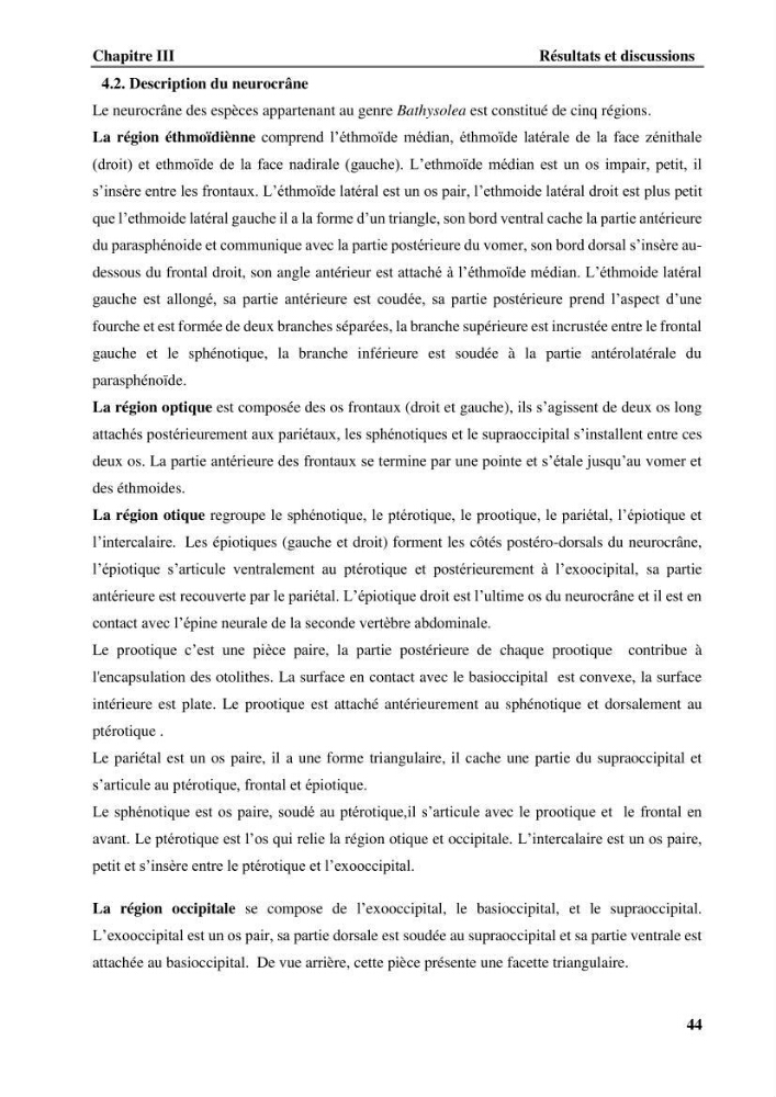 Contribution à l\'étude systématique du genre Bathysolea Roule,1916 (Pleuronnectiformes, Soleidae) des côtes Algeriennes: études morphométriques et ostéologique