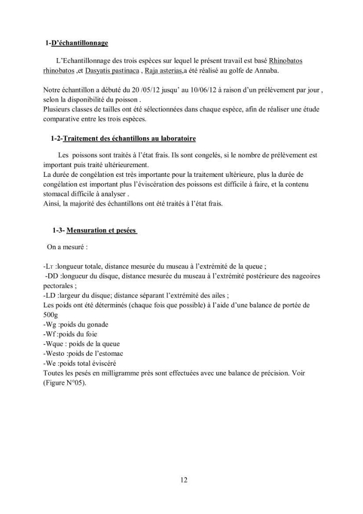 Etudes de regime alimentaire de 03 raies ( Raia asterias, Dasyatis pastcnaca et Rhinobatos rhinobatos) du Golfe de Annaba