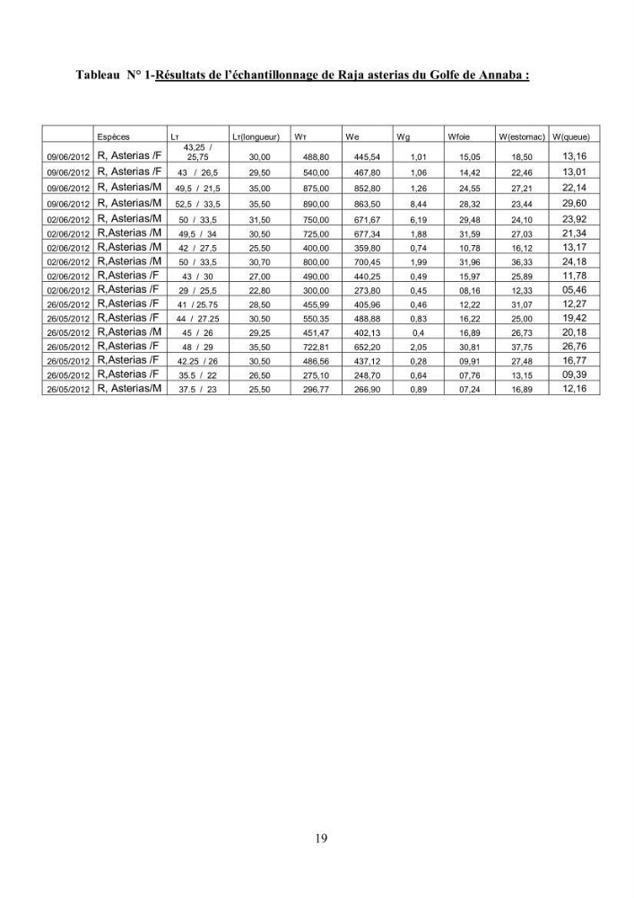 Etudes de regime alimentaire de 03 raies ( Raia asterias, Dasyatis pastcnaca et Rhinobatos rhinobatos) du Golfe de Annaba