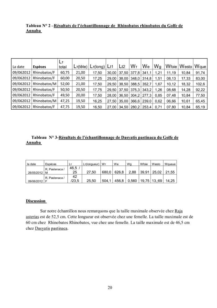 Etudes de regime alimentaire de 03 raies ( Raia asterias, Dasyatis pastcnaca et Rhinobatos rhinobatos) du Golfe de Annaba
