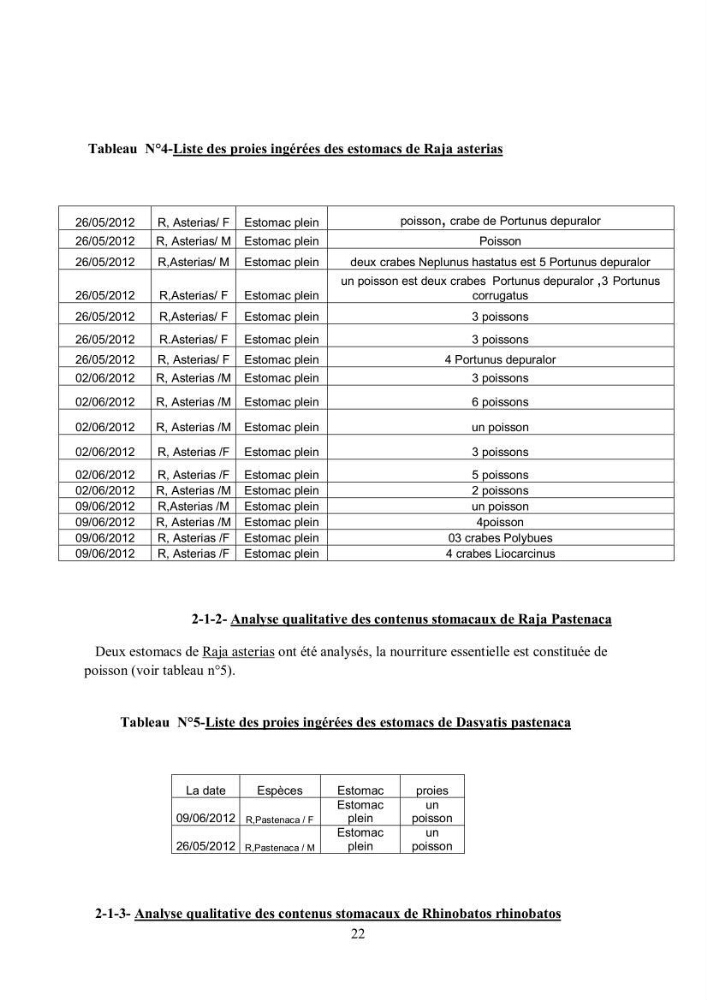 Etudes de regime alimentaire de 03 raies ( Raia asterias, Dasyatis pastcnaca et Rhinobatos rhinobatos) du Golfe de Annaba