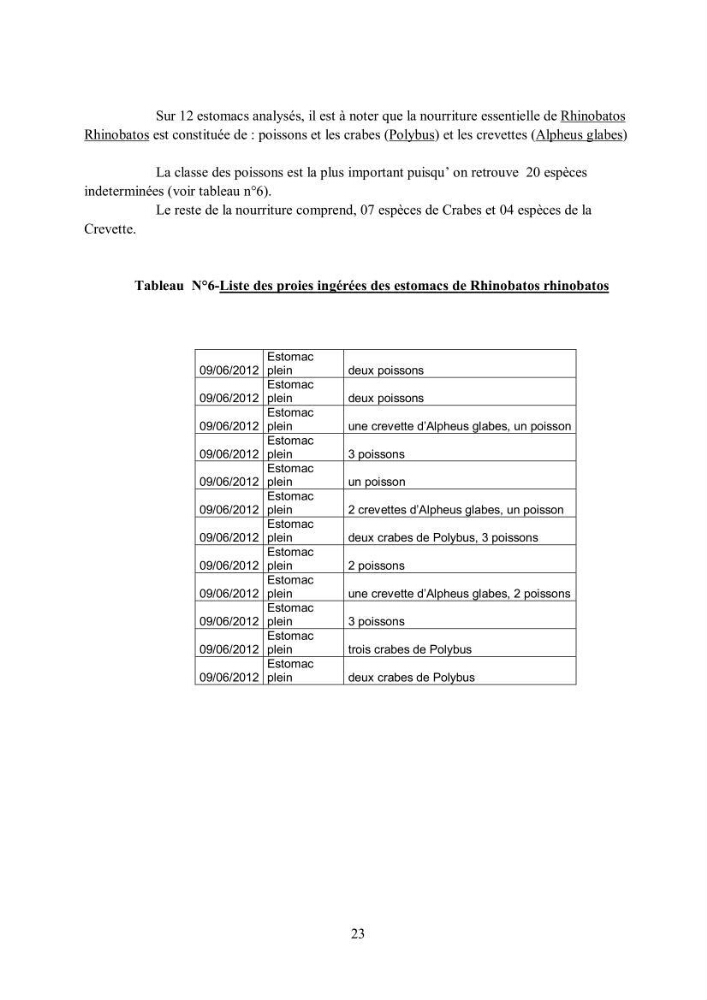 Etudes de regime alimentaire de 03 raies ( Raia asterias, Dasyatis pastcnaca et Rhinobatos rhinobatos) du Golfe de Annaba