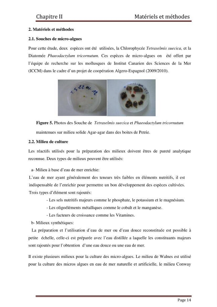 Contribution à l\'étude de la croissance de deux microalgues utilisées en aquaculture