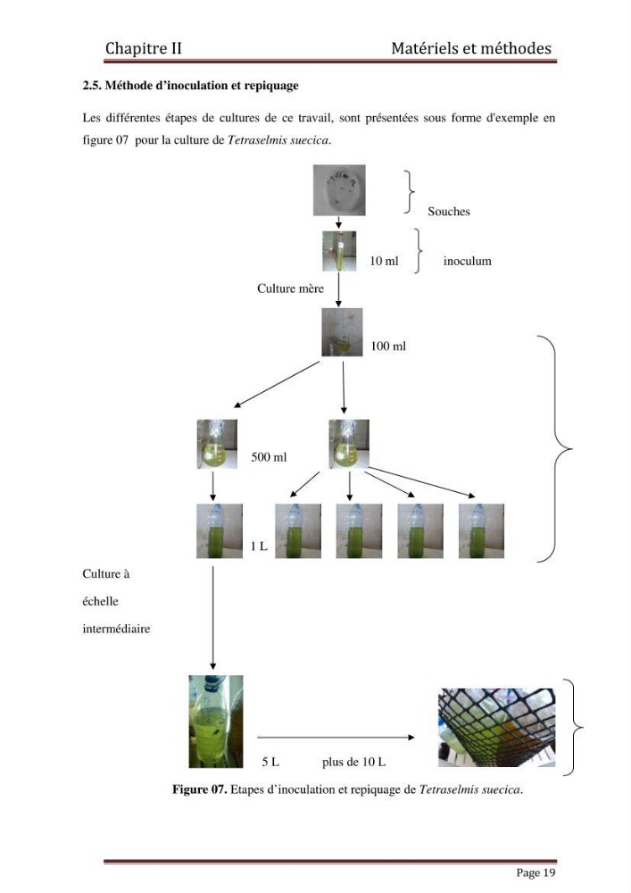 Contribution à l\'étude de la croissance de deux microalgues utilisées en aquaculture