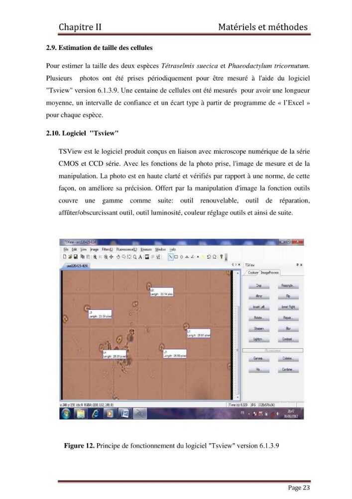 Contribution à l\'étude de la croissance de deux microalgues utilisées en aquaculture