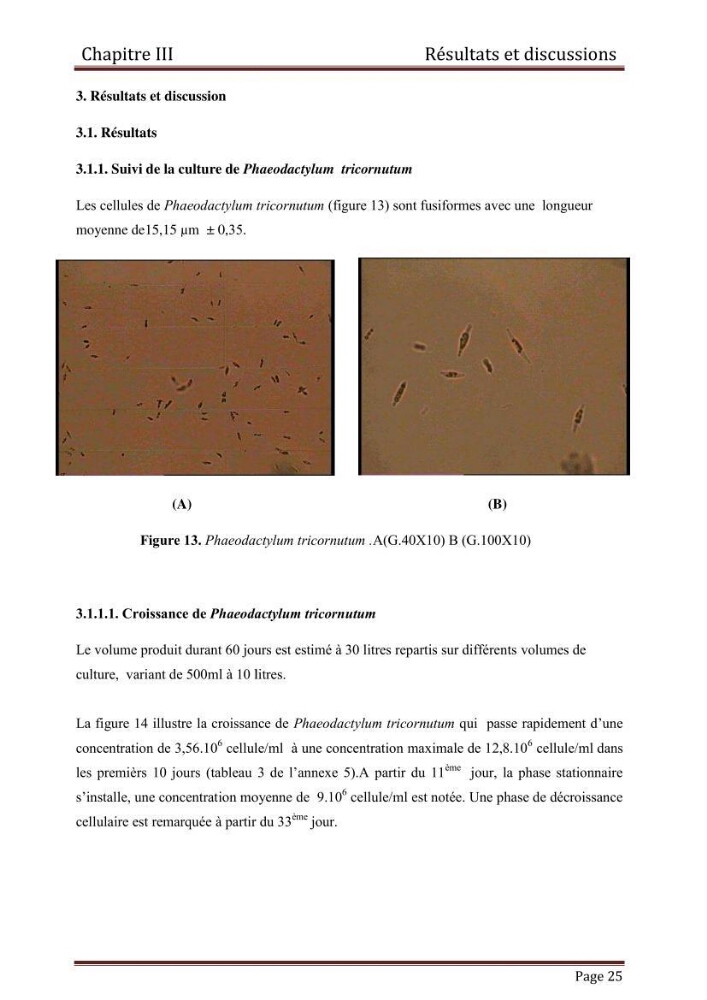 Contribution à l\'étude de la croissance de deux microalgues utilisées en aquaculture