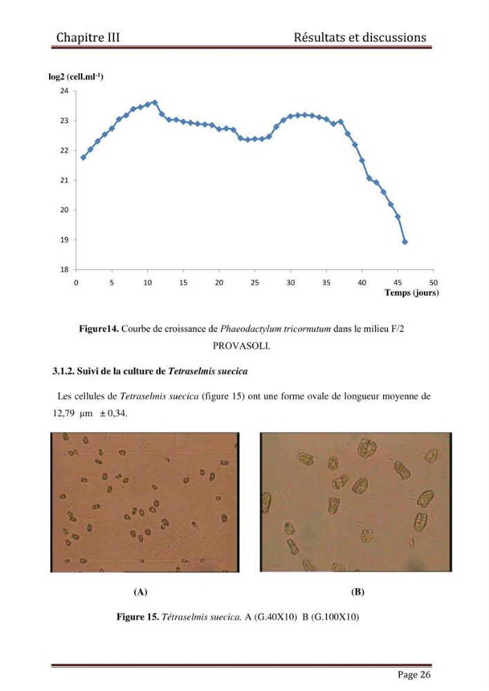 Contribution à l\'étude de la croissance de deux microalgues utilisées en aquaculture