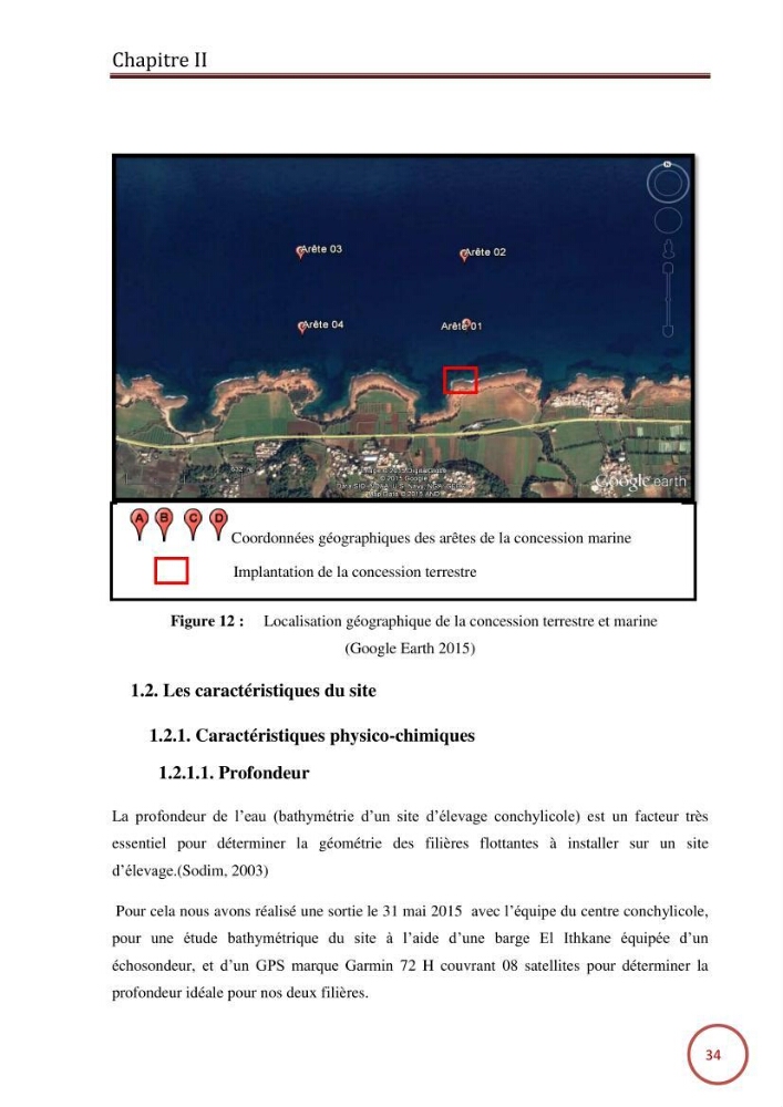 Caractérisation de la filière mytilicole du projet cultures marines (Wilaya de Tipaza):