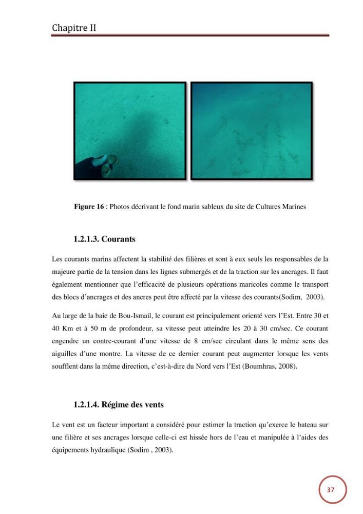 Caractérisation de la filière mytilicole du projet cultures marines (Wilaya de Tipaza):