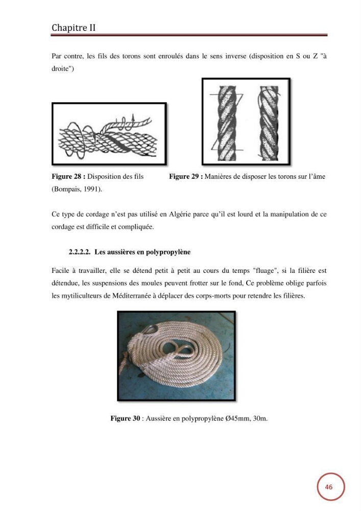 Caractérisation de la filière mytilicole du projet cultures marines (Wilaya de Tipaza):