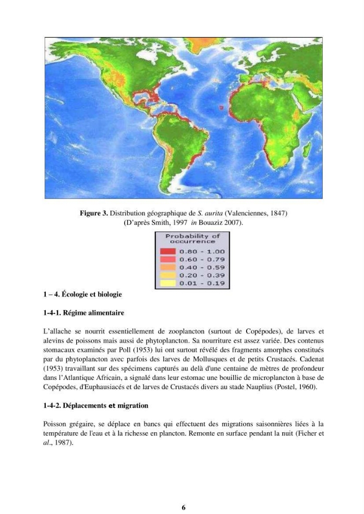 Impact de la variation de la mortalité naturelle (M) par âge sur l\'estimation de la biomasse exploitable de la sardinelle (Sardinella aurita ,Valenciennes 1847) de la région centre de la côte algérienne