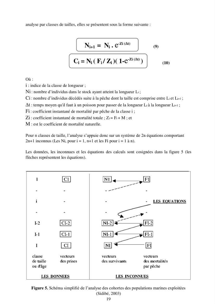 Impact de la variation de la mortalité naturelle (M) par âge sur l\'estimation de la biomasse exploitable de la sardinelle (Sardinella aurita ,Valenciennes 1847) de la région centre de la côte algérienne