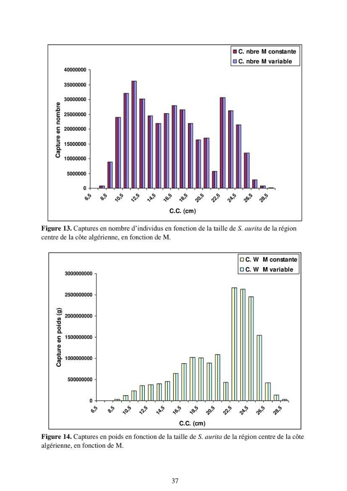 Impact de la variation de la mortalité naturelle (M) par âge sur l\'estimation de la biomasse exploitable de la sardinelle (Sardinella aurita ,Valenciennes 1847) de la région centre de la côte algérienne