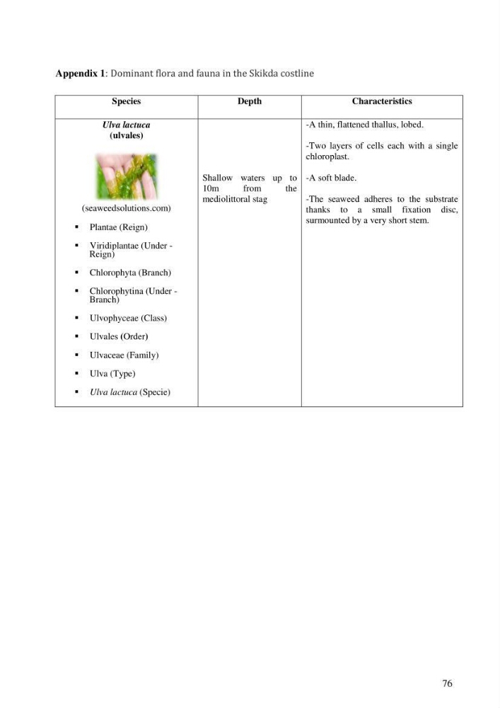 Coupled modeling of environmental impacts and risks of offshore exploration drilling bay life cycle assessment: case study Skikda coastline