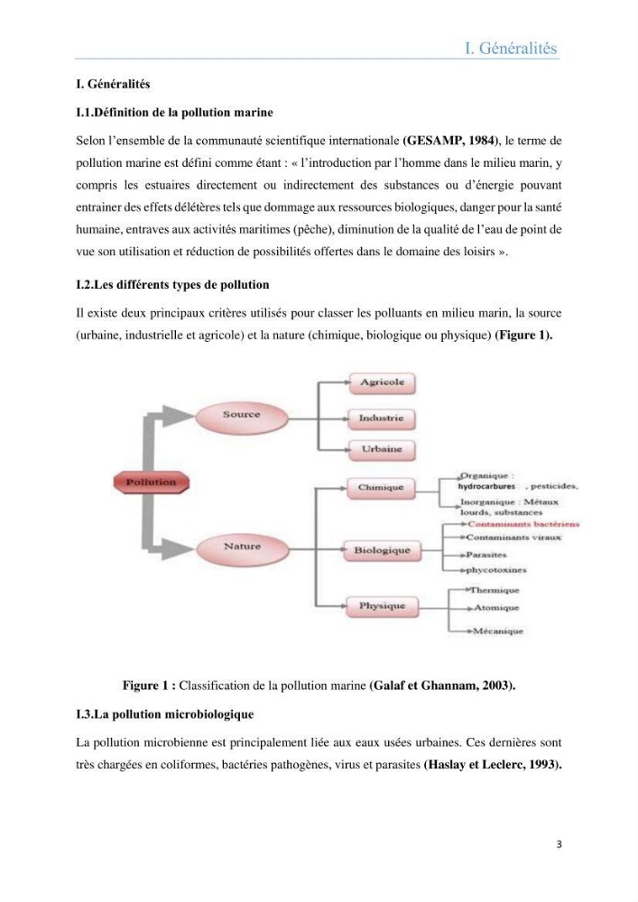 Analyse microbiologique et évaluation de la résistance aux antibiotiques des eaux de plages algéroises.