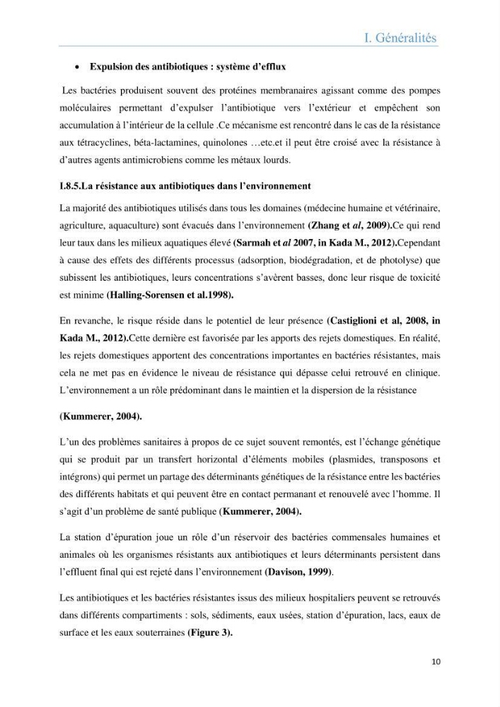 Analyse microbiologique et évaluation de la résistance aux antibiotiques des eaux de plages algéroises.