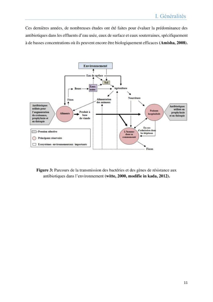 Analyse microbiologique et évaluation de la résistance aux antibiotiques des eaux de plages algéroises.