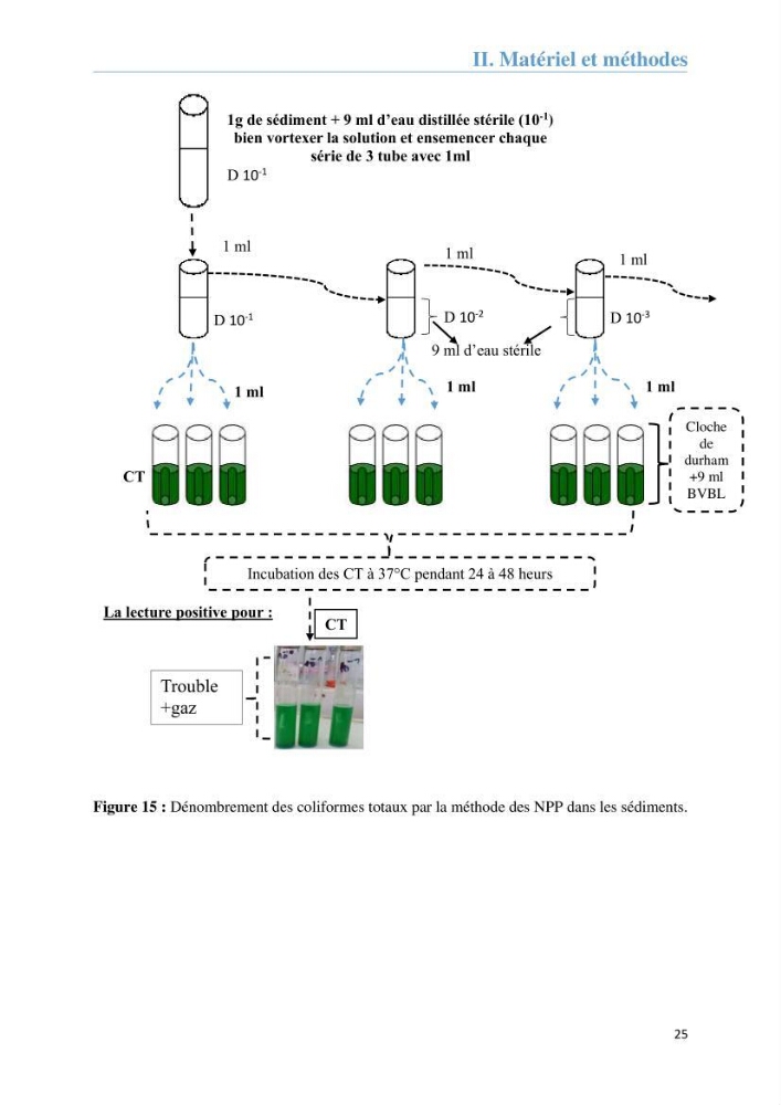 Analyse microbiologique et évaluation de la résistance aux antibiotiques des eaux de plages algéroises.