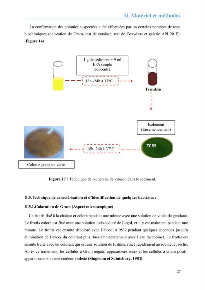 Analyse microbiologique et évaluation de la résistance aux antibiotiques des eaux de plages algéroises.