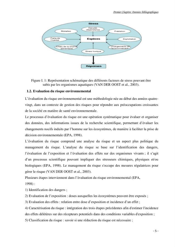 Mise au point d\'une technique de dosage de l\'activité des enzymes du stress oxydatif chez la moule Perna Perna (Linnaeus 1758 .