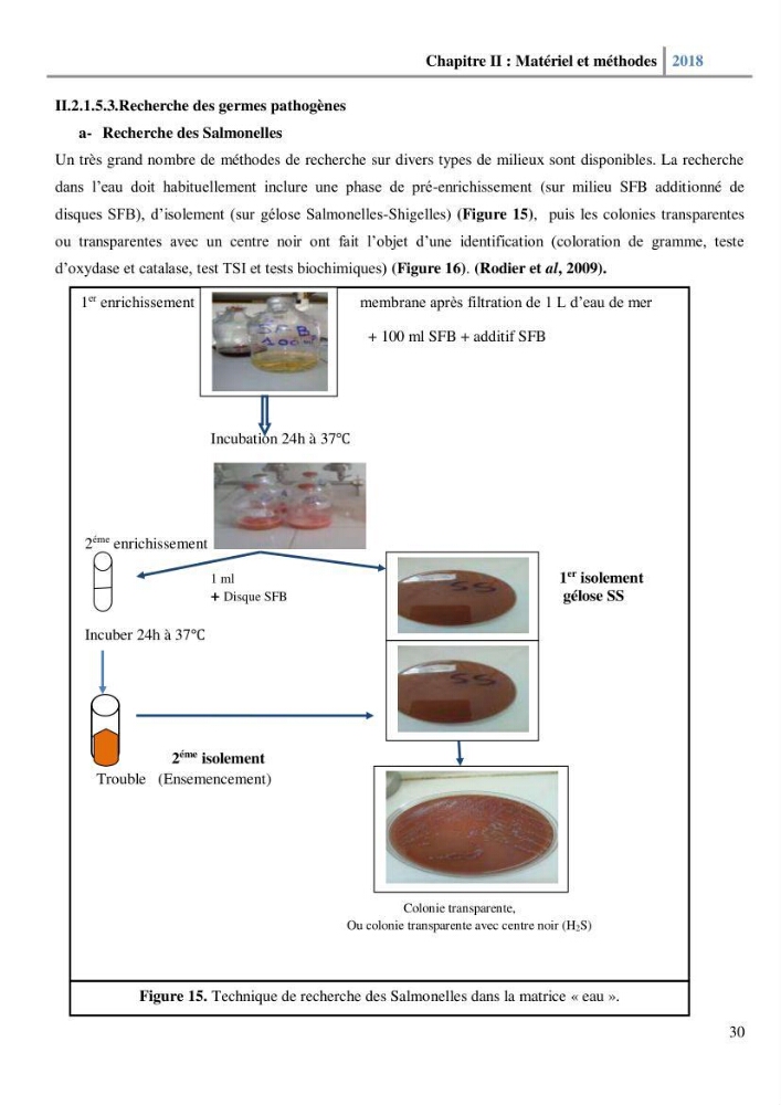 Etude des paramètres physico-chimiques et microbiologiques de l’eau et des sédiments des deux plages Est et Ouest de sidi Fredj.