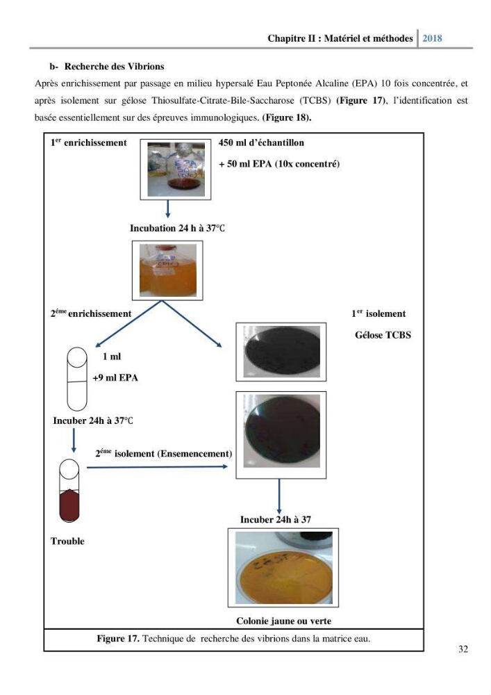 Etude des paramètres physico-chimiques et microbiologiques de l’eau et des sédiments des deux plages Est et Ouest de sidi Fredj.