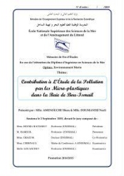 Contribution à l'étude de la pollution par les micro-plastiques dans la baie de Bou-Ismail: