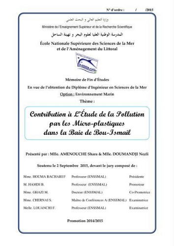 Contribution à l'étude de la pollution par les micro-plastiques dans la baie de Bou-Ismail: Contribution à l'étude de la pollution par les micro-plastiques dans la baie de Bou-Ismail: