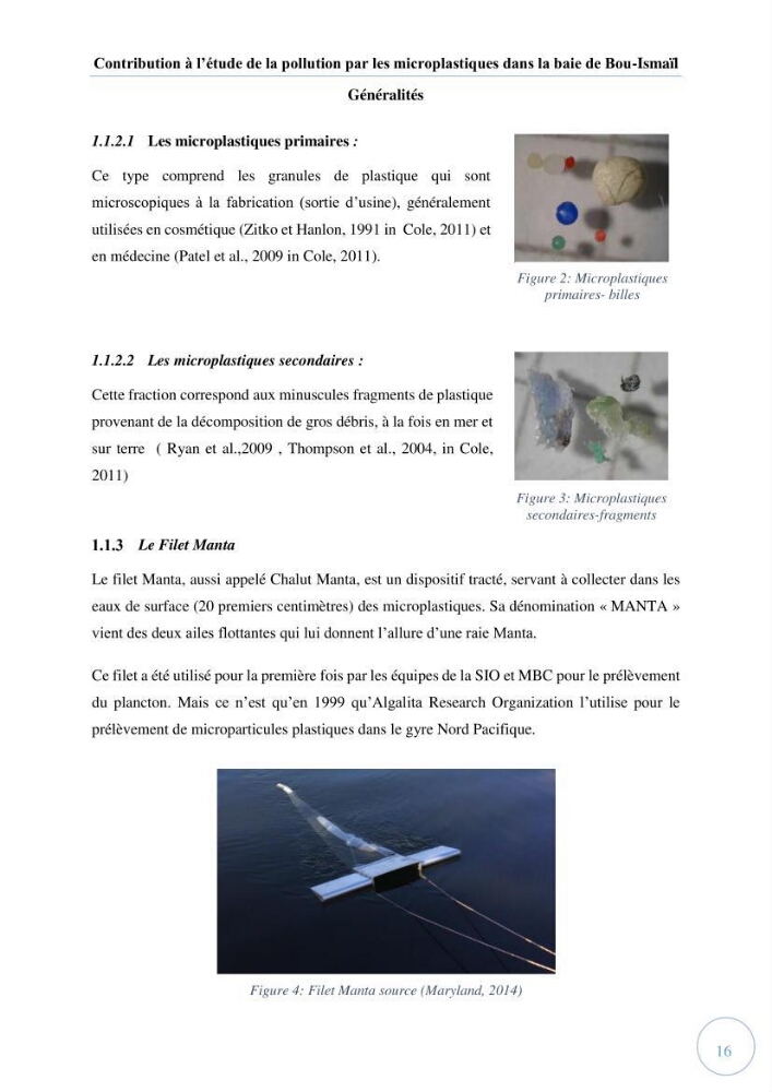 Contribution à l\'étude de la pollution par les micro-plastiques dans la baie de Bou-Ismail: